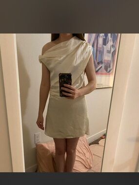 NWT Anna Quan Cowl Neck Mini Dress